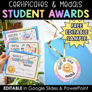 FREE End of the Year (or anytime!) Student Awards Certificates | EDITABLE SAMPLE