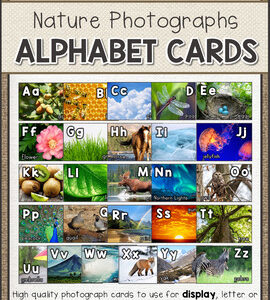 Alphabet Cards