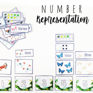 FREE Number Representation Cards for Math Tubs Bins Centers Game Activity