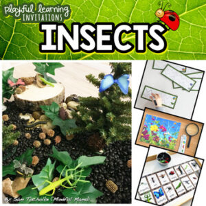 INSECTS Playful Learning Invitations: Homeschool, Montessori, Reggio, Waldorf